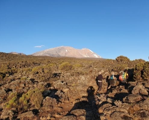 Kilimanjaro landscape shot