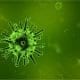 Green virus