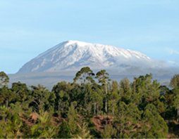 Kilimanjaro AI