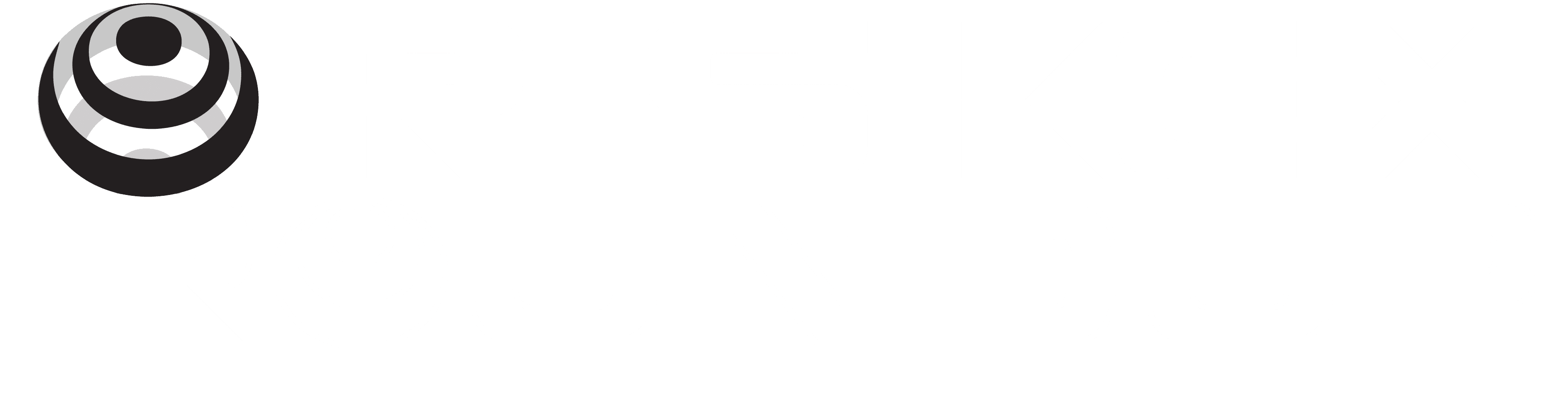 Riskex Roundup white logo